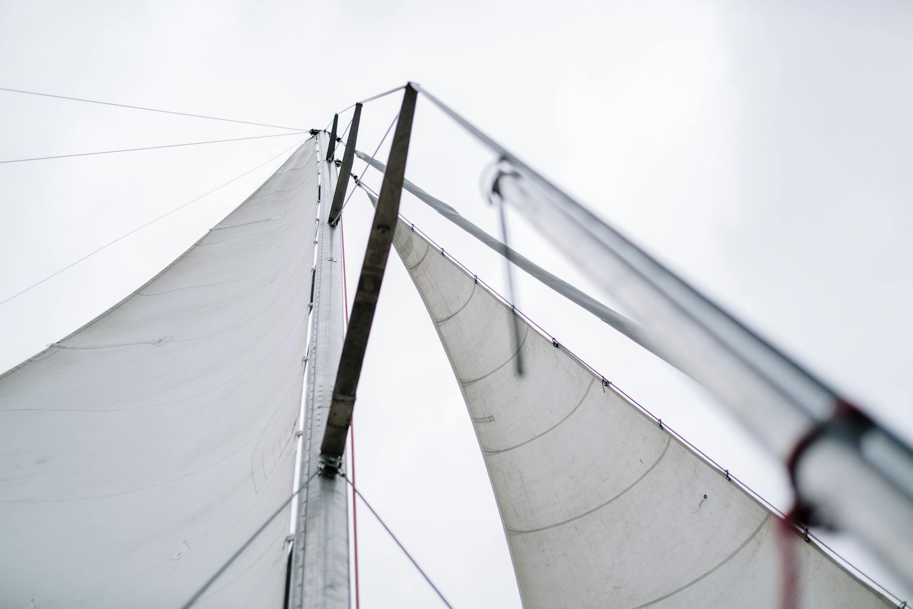 Yacht sails filled with wind under a clear blue sky