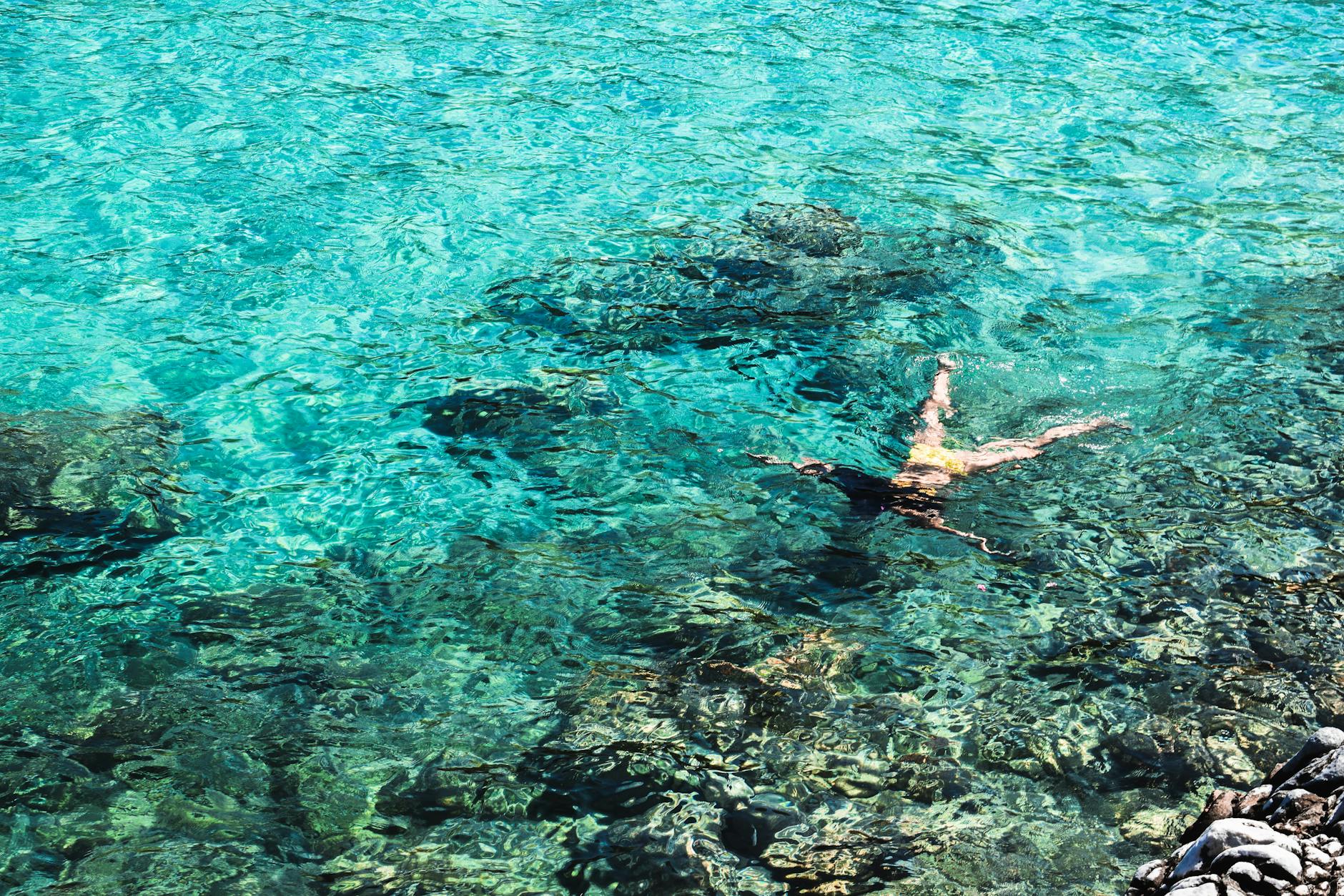Guests snorkelling in the clear Mediterranean waters of Mallorca